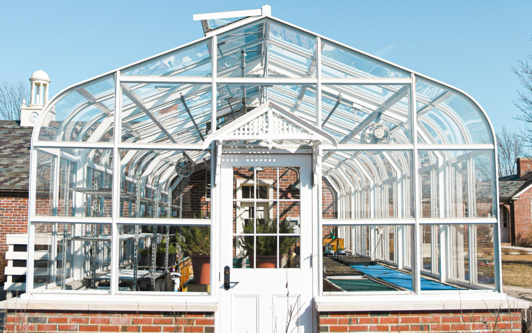 Tips for Making the Most of Your Conservatory This Summer